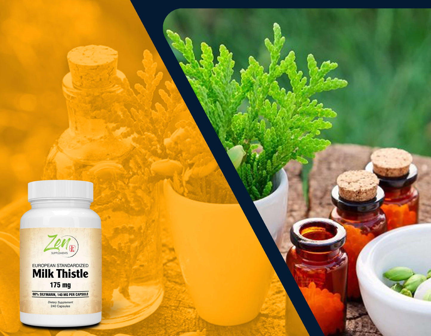 Milk Thistle Extract-Plus 175 Mg - Promotes Healthy Liver Function, Liver Health & Supports the Body’s Natural Cleansing & Detoxification Pathways 240-Caps