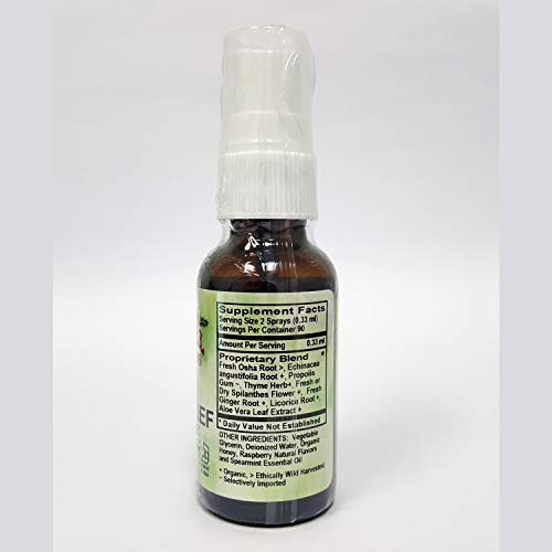 Throat Spray Relief, Alcohol Free, 1 Ounce