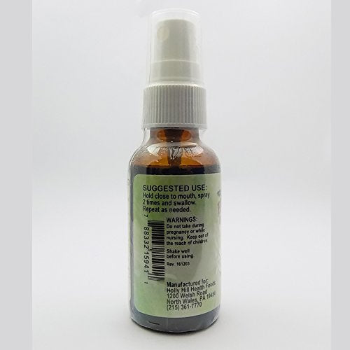 Sinus Blaster Spray (Professional Strength), 1 Ounce