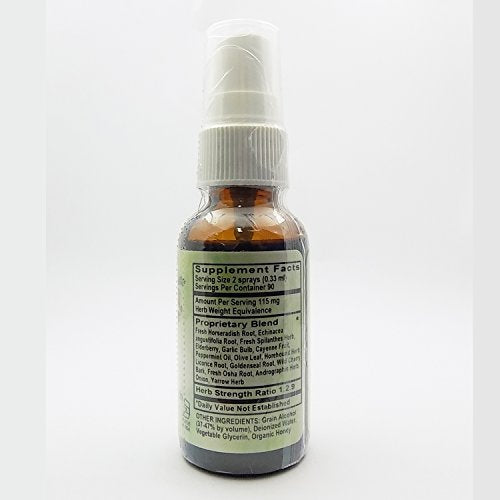 Sinus Blaster Spray (Professional Strength), 1 Ounce