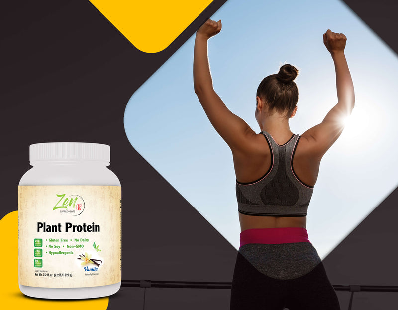 Zen Supplements - Plant Protein-Vanilla 1020G 2.2LB-Powder - 25 Grams of Protein Per Serving -Vegan, Low Net Carbs, Non Dairy, Gluten Free, Lactose Free, No Sugar Added, Soy Free, Kosher, Non-GMO