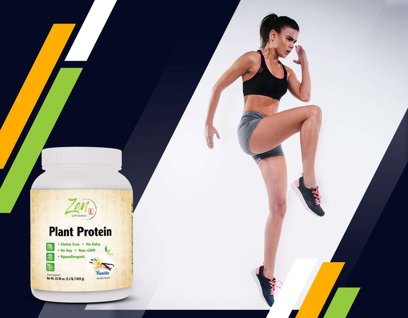 Zen Supplements - Plant Protein-Vanilla 1020G 2.2LB-Powder - 25 Grams of Protein Per Serving -Vegan, Low Net Carbs, Non Dairy, Gluten Free, Lactose Free, No Sugar Added, Soy Free, Kosher, Non-GMO