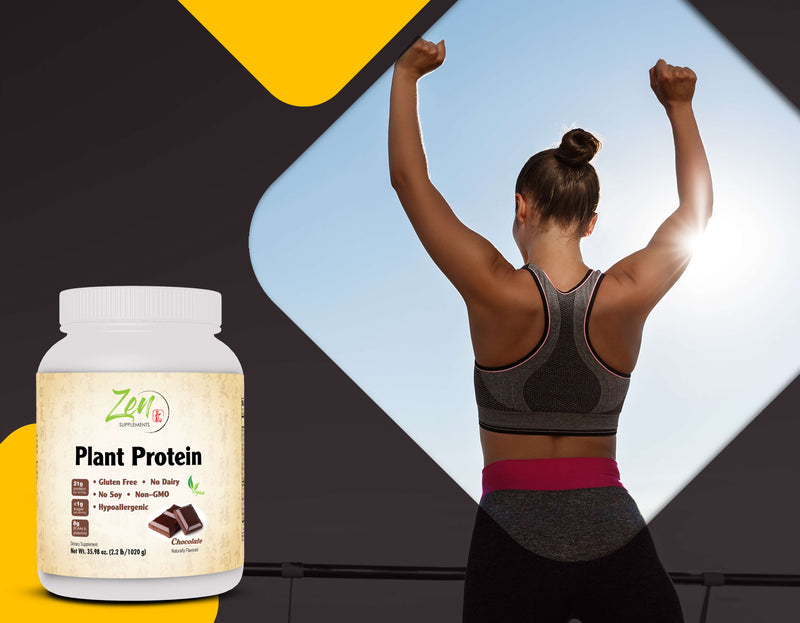 Zen Supplements - Plant Protein-Chocolate 1020G 2.2LB-Powder - 23 Grams of Protein Per Serving -Vegan, Low Net Carbs, Non Dairy, Gluten Free, Lactose Free, No Sugar Added, Soy Free, Kosher, Non-GMO